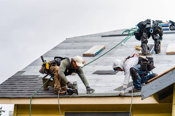Professional Storm Damage Roof Repair technician working in Bejou, MN